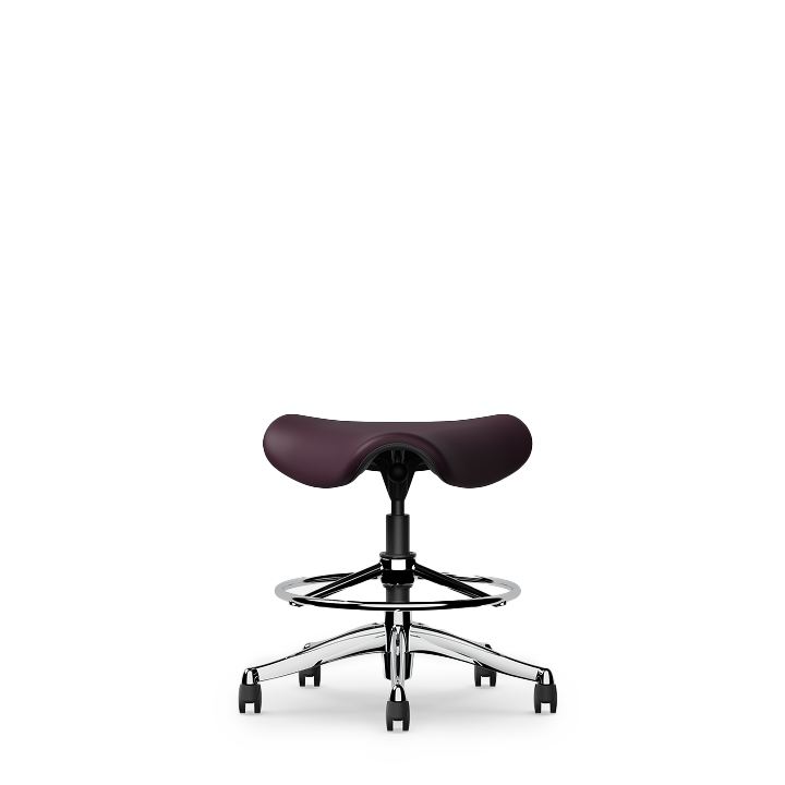 saddle lab